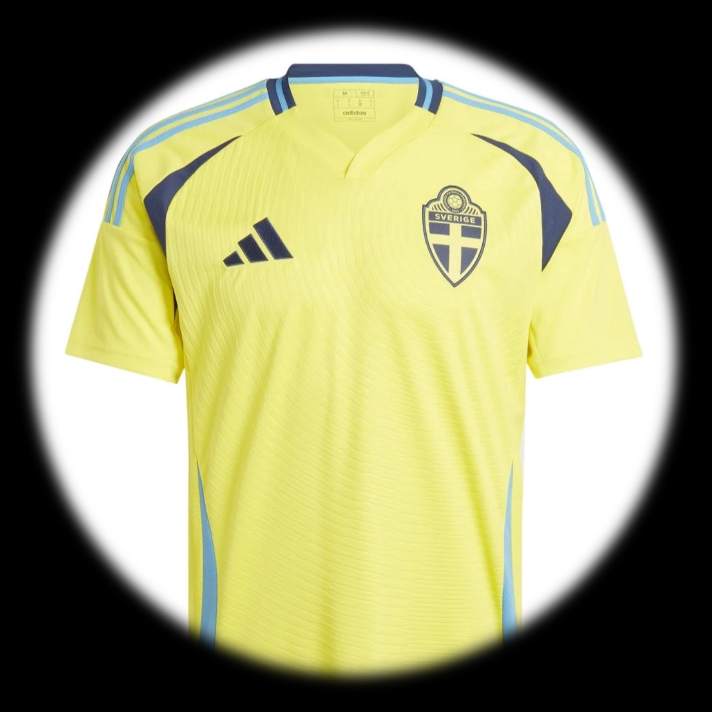 foto de equipo para Suecia